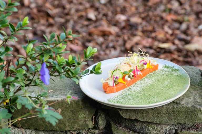 RB.gerechten.voorgerecht.zalm.huisgerookt.najaar.herfst.spinazie.mierikswortel.komkommer